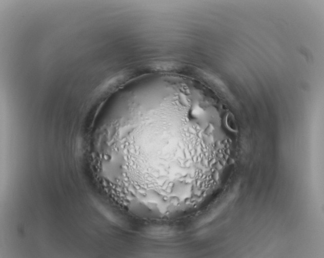 X0000114030161200910091441