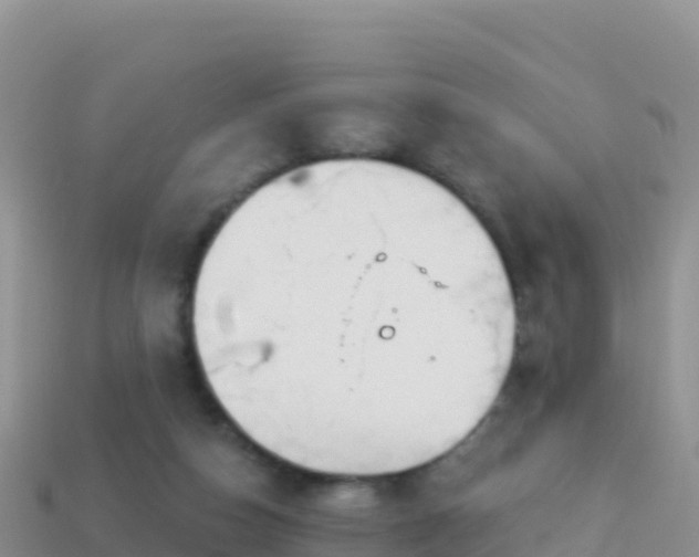 X0000114030162200910091441