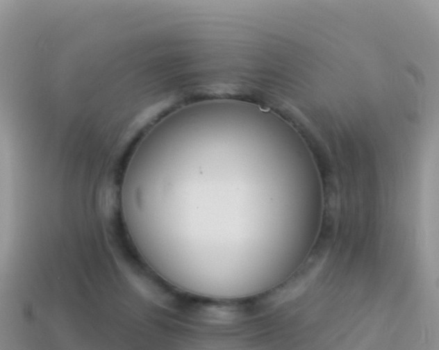 X0000114030164200910091441