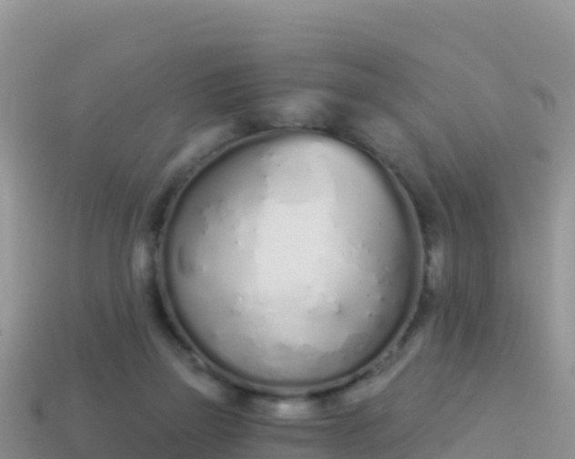 X0000114030165200910091441