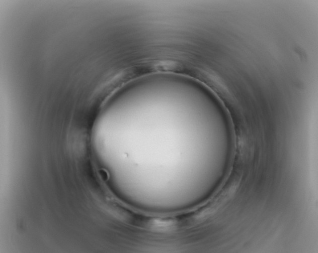 X0000114030169200910091442