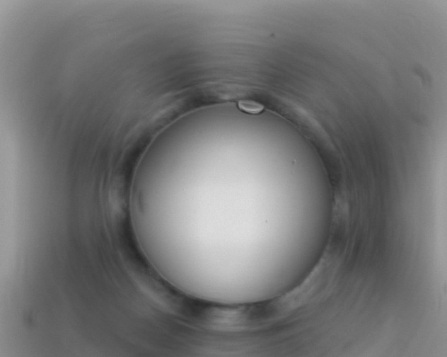 X0000114030170200910091442