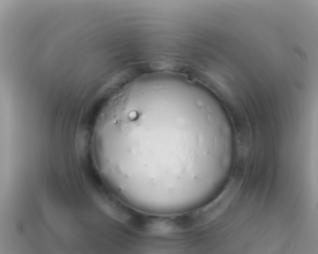 X0000114030171200910091442