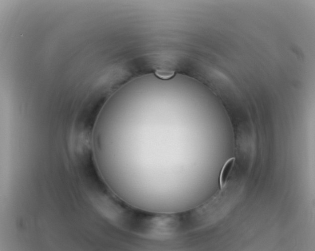 X0000114030172200910091442