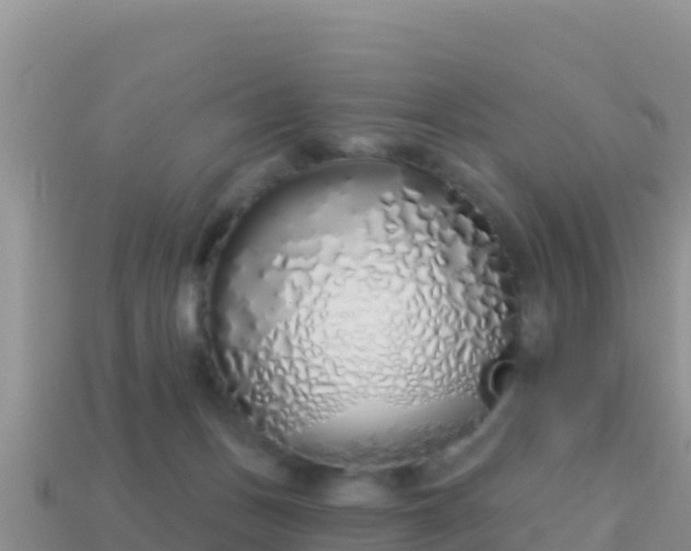 X0000114030175200910091442