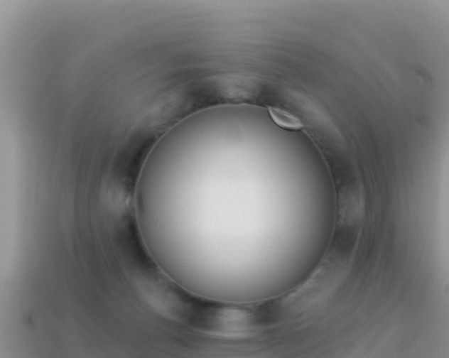 X0000114030176200910091442