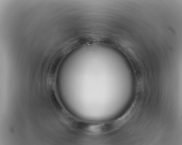 X0000114030178200910091442