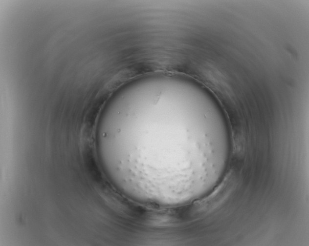 X0000114030179200910091442