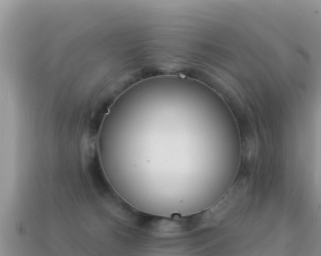 X0000114030180200910091442