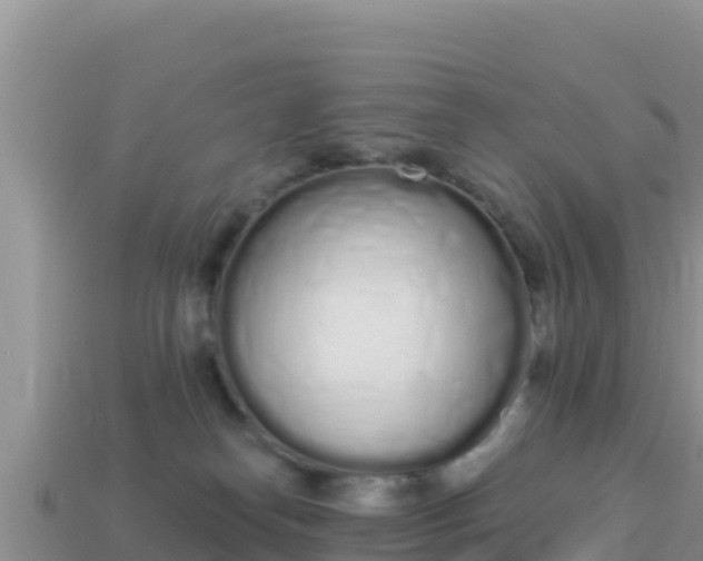 X0000114030182200910091442