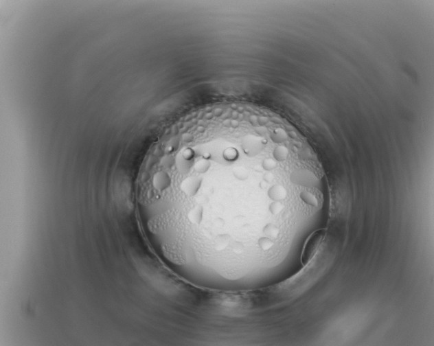 X0000114030187200910091442