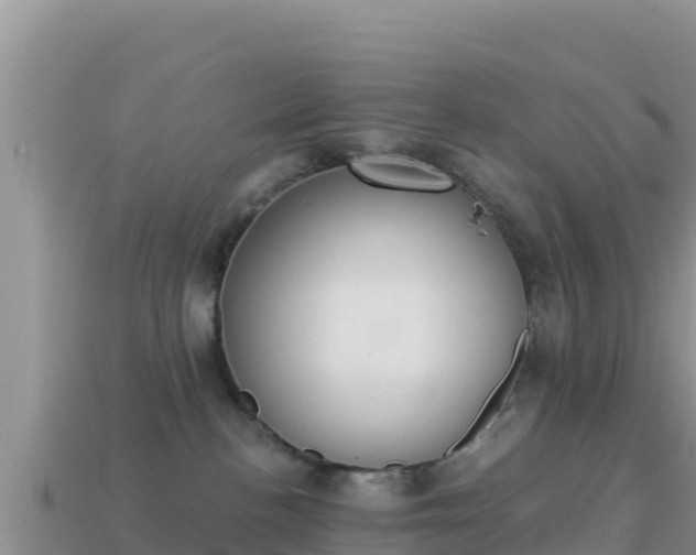 X0000114030188200910091442