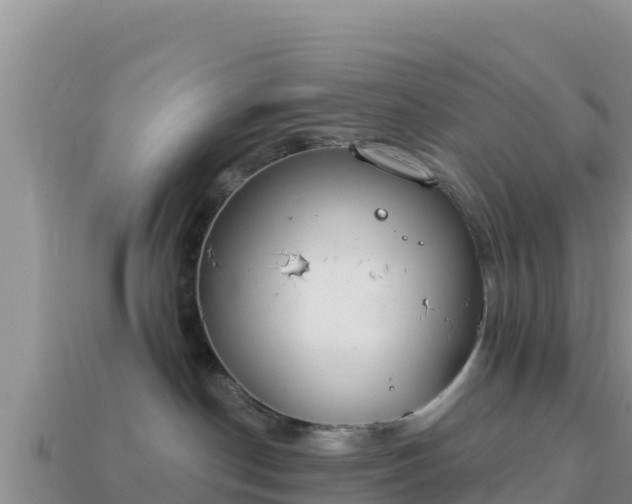 X0000114030190200910091442