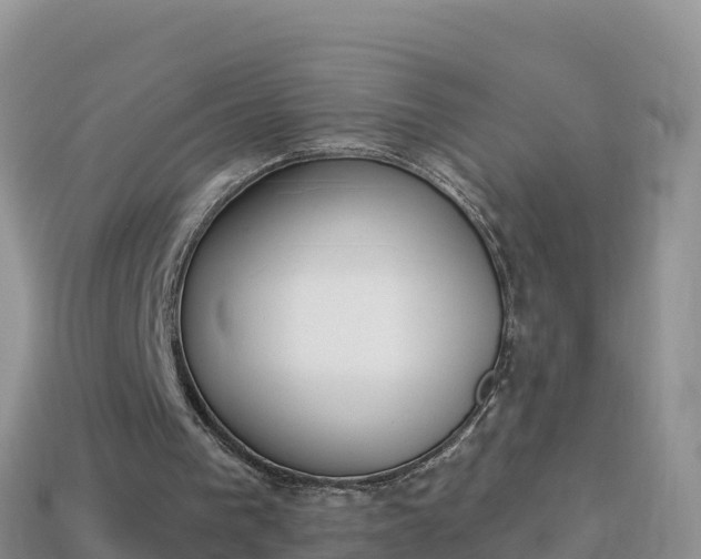 X0000114030193200910091441