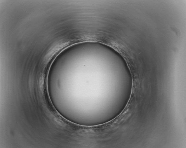 X0000114030194200910091441