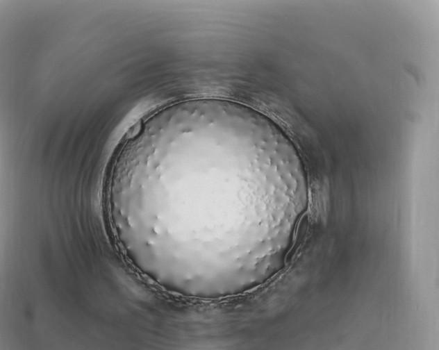 X0000114030195200910091441