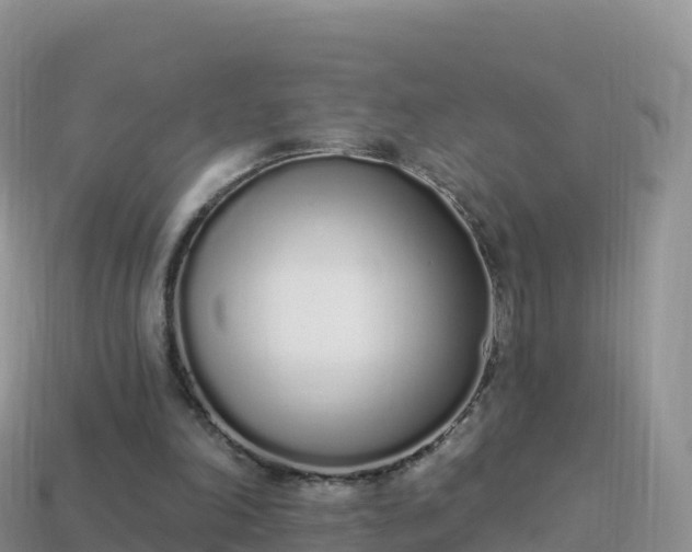 X0000114030198200910091441