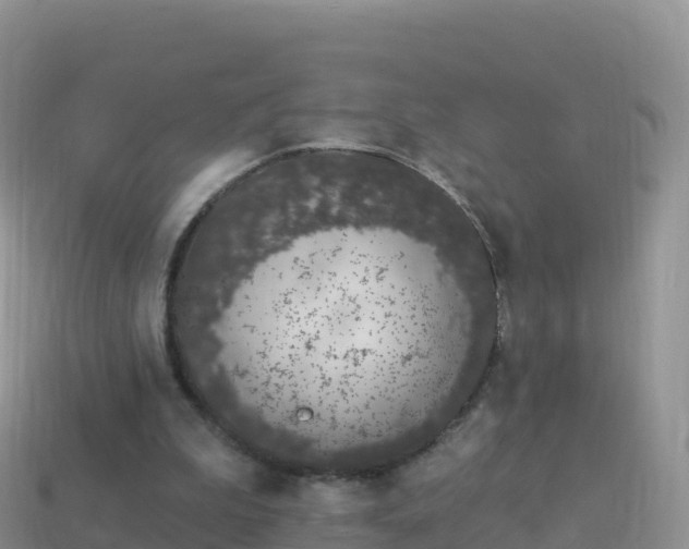 X0000114030199200910091441