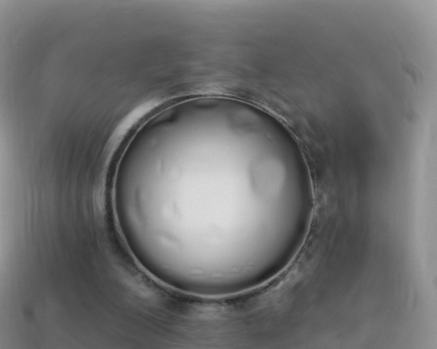 X0000114030200200910091441