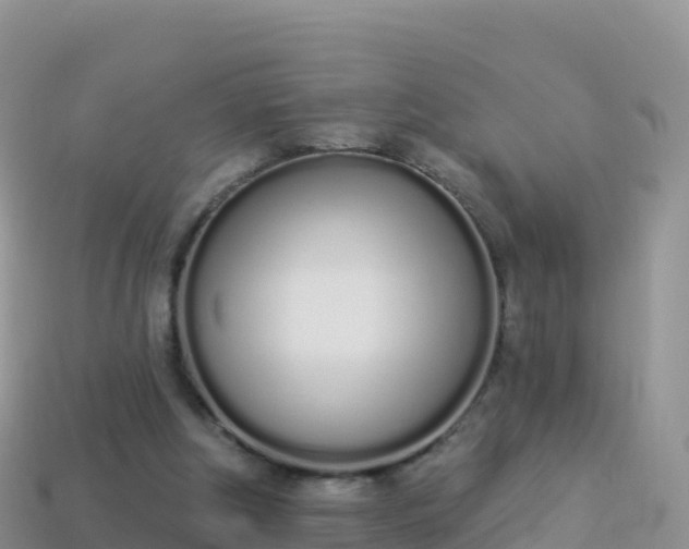 X0000114030202200910091441