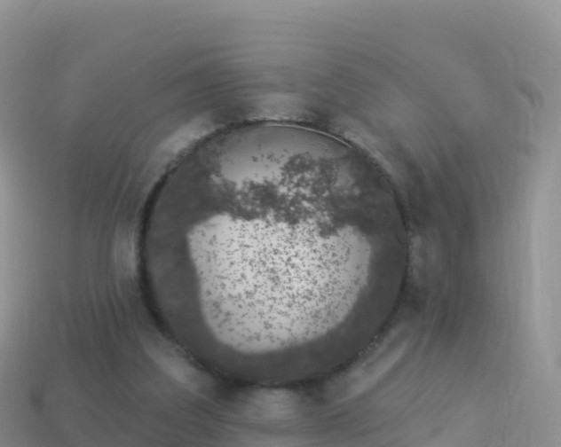 X0000114030203200910091441