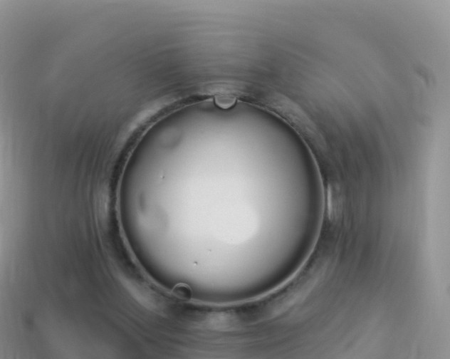 X0000114030204200910091441