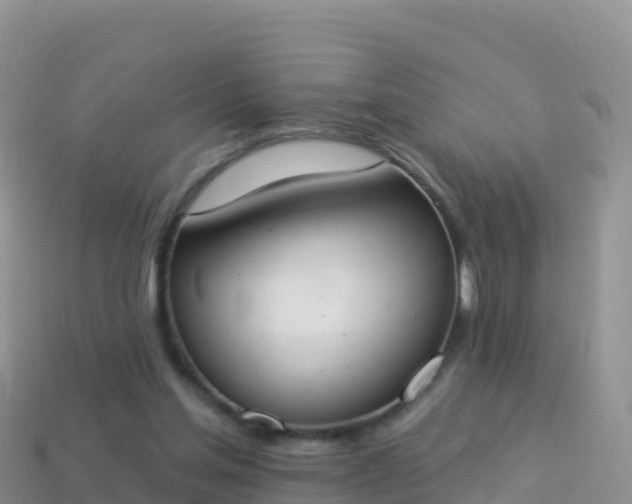 X0000114030205200910091441