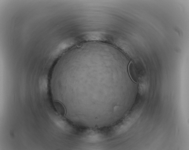 X0000114030207200910091441