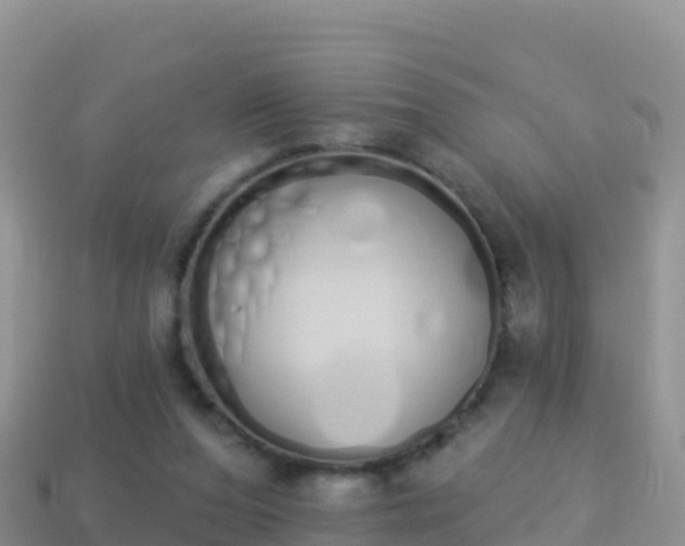 X0000114030208200910091441