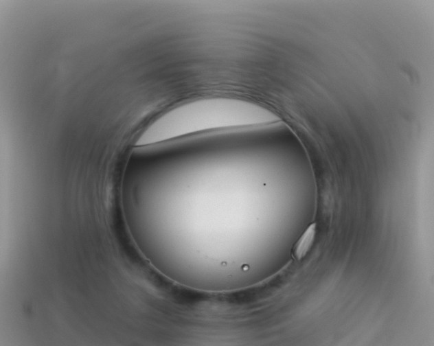 X0000114030211200910091441