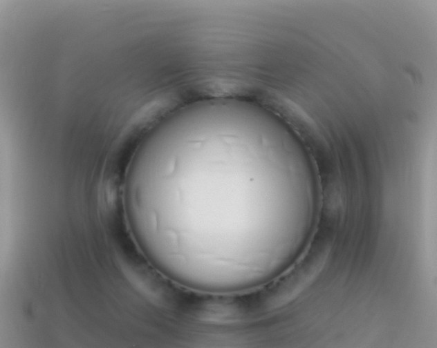 X0000114030214200910091441