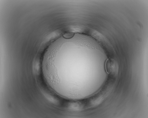 X0000114030215200910091441