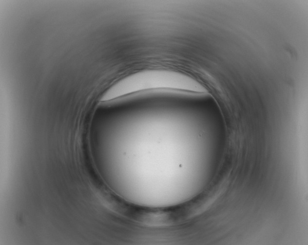 X0000114030217200910091441