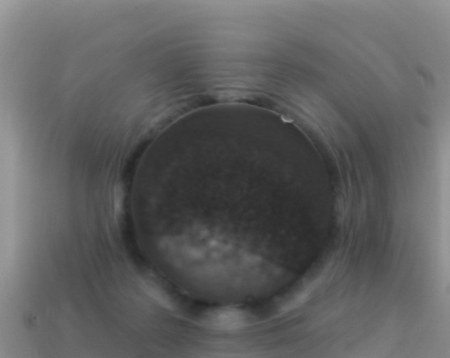 X0000114030219200910091441