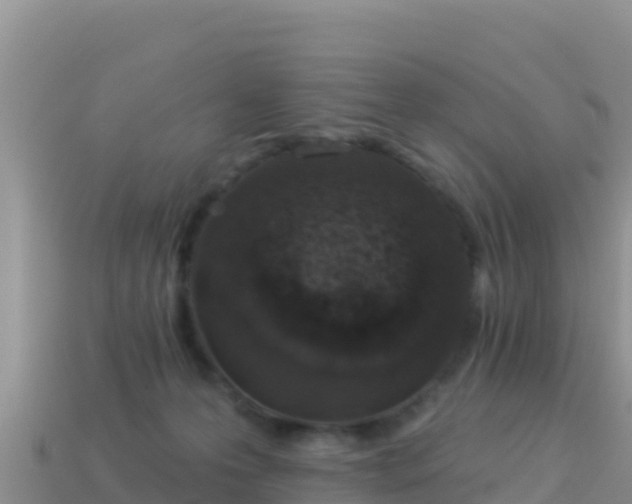 X0000114030223200910091441