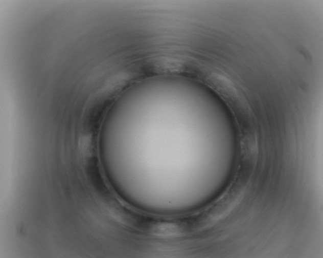 X0000114030224200910091441