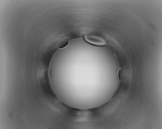 X0000114030225200910091441