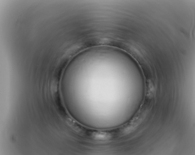 X0000114030230200910091441