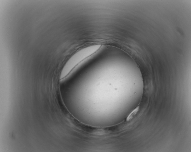 X0000114030231200910091441