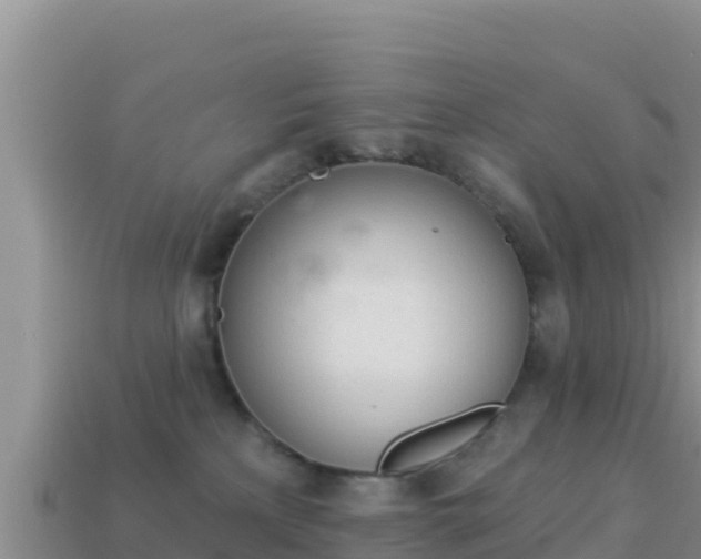 X0000114030233200910091441