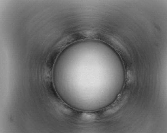 X0000114030234200910091441