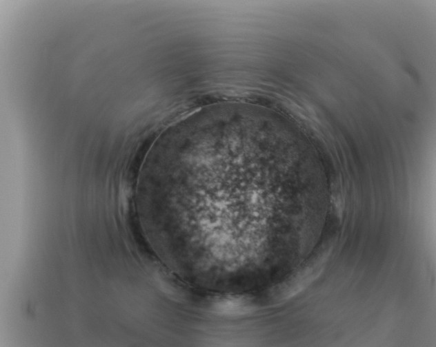 X0000114030235200910091441