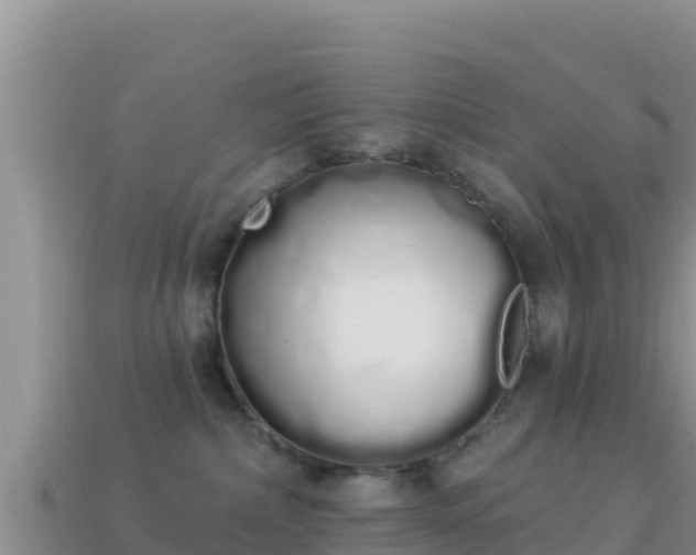 X0000114030236200910091441