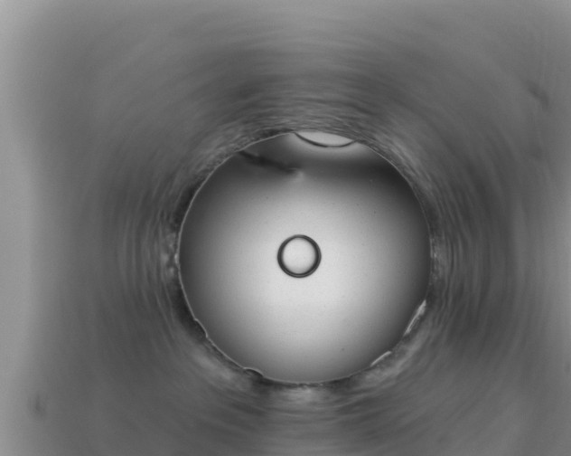 X0000114030237200910091441