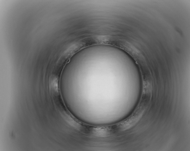 X0000114030238200910091441