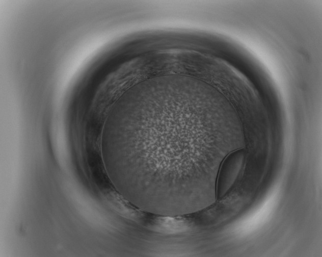 X0000114030239200910091441