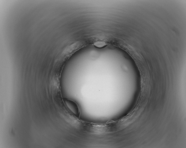 X0000114030240200910091441