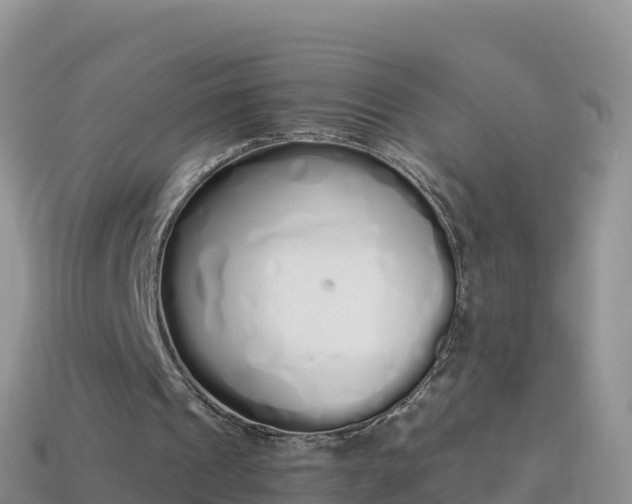 X0000114030241200910091440