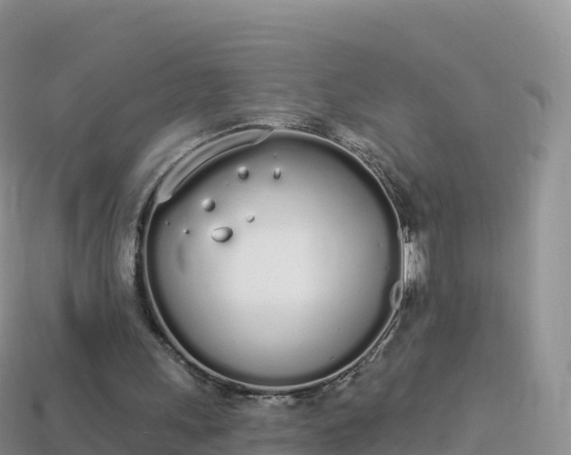 X0000114030243200910091440