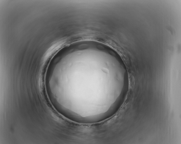 X0000114030245200910091440